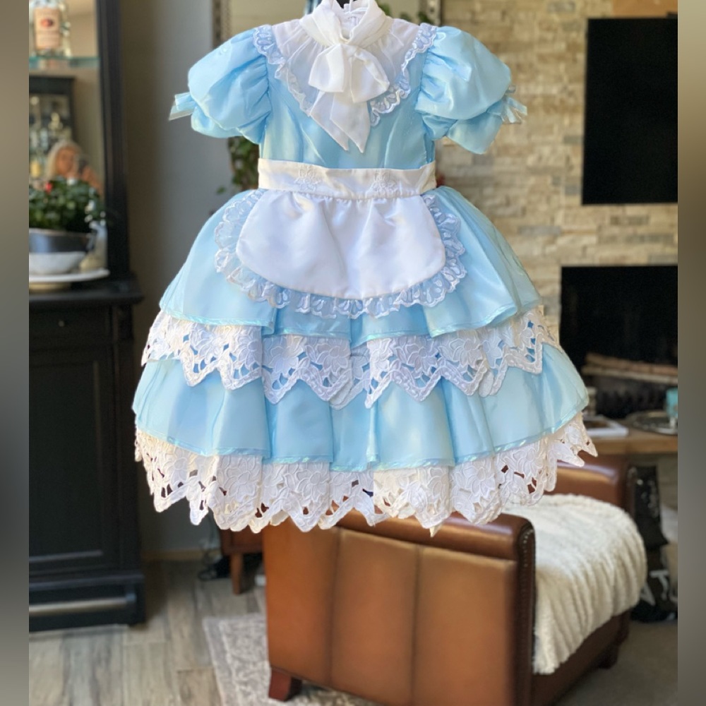 Exquisite, like-new, Alice costume from Chasing Fireflies Disney collection